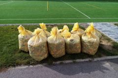 306556856_1297208041088902_7326284005753788510_n