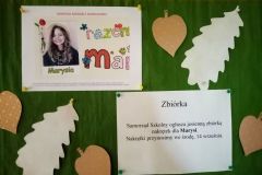 307096115_575306881006866_4061634898250115572_n