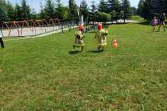 436406321_1806053636555079_3530441071180615455_n