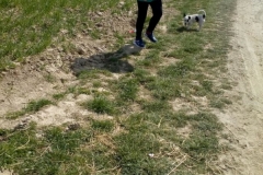 93939727_228887358336228_7946250918545063936_n