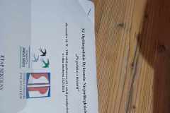 382103444_994664038418568_8747076793800575984_n