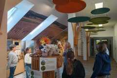 WhatsApp-Image-2026-03-25-at-17.05.39-1